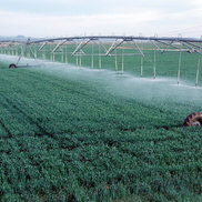 Irrigation Systems are using Slipring Assemblies, or Motor-Driven Hose Reels for transport the water 