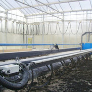 A Cable Festoon System is used for the Energy Transmission to a solar sludge drying mobile system